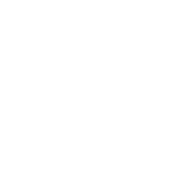 Ecopia AI logo