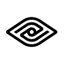 NetraMark logo